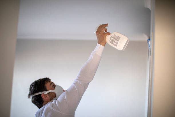 Best Attic Mold Removal  in River Ridge, FL