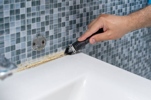 Best Home Mold Removal  in River Ridge, FL