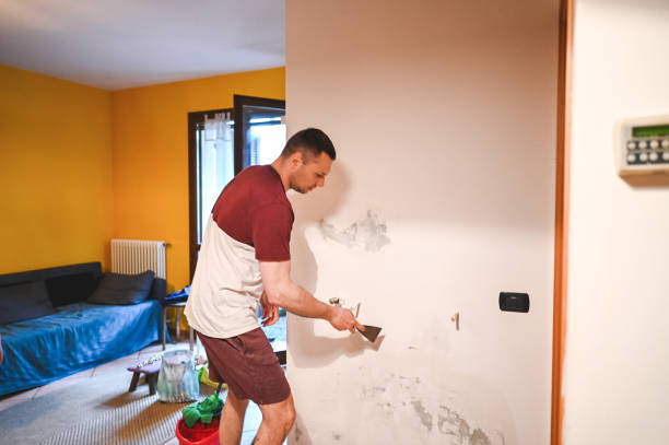 Best Office Mold Removal Services  in River Ridge, FL